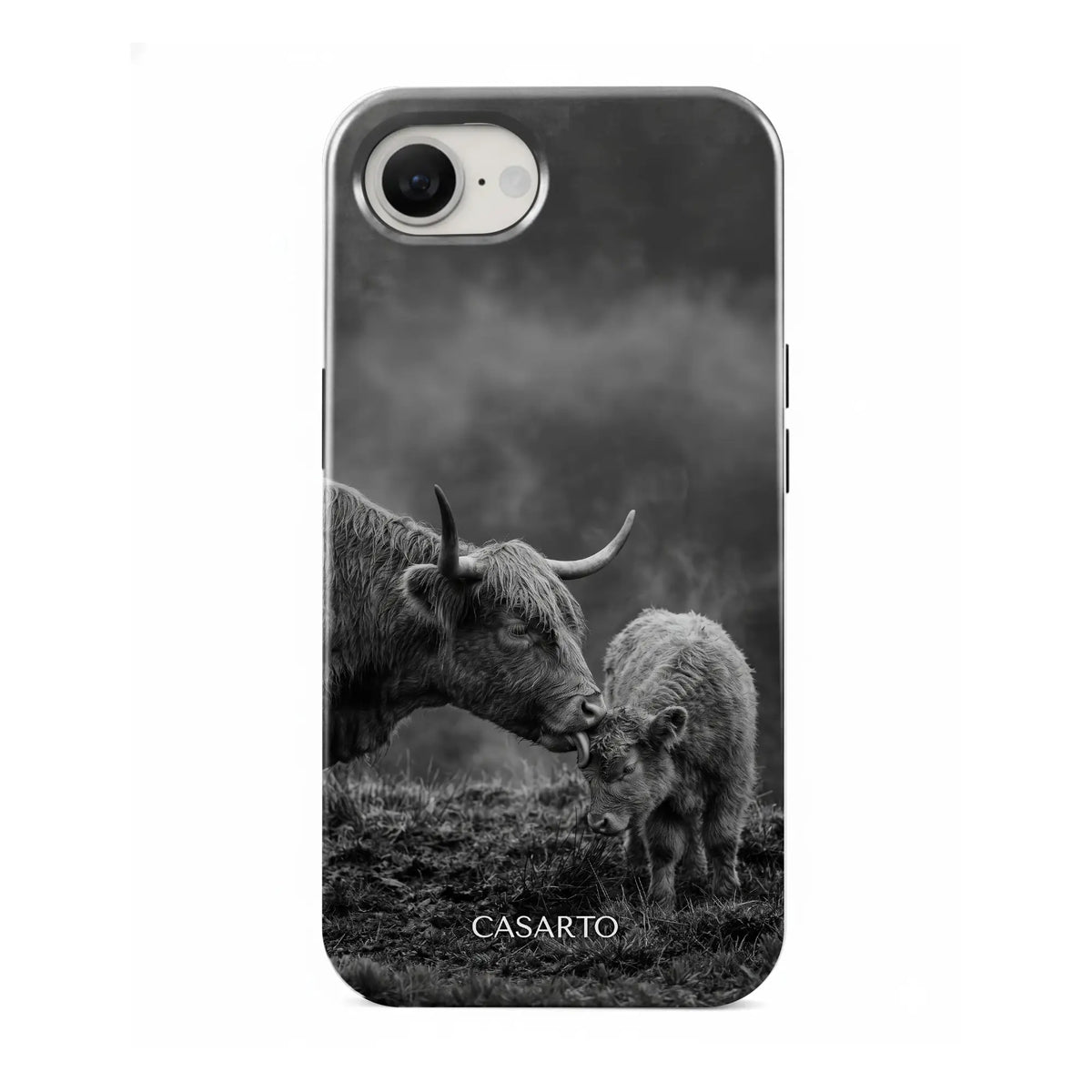 Highland Tenderness