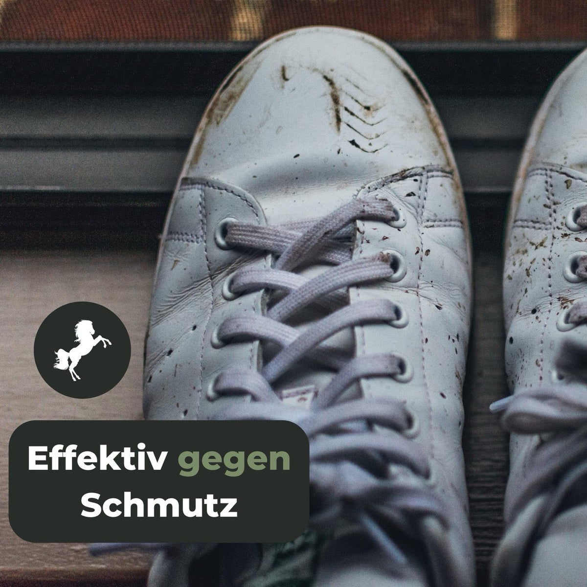 Schuhbürste mit Rosshaar Borsten - Sneaker Cleaner mit XXL Holzgriff