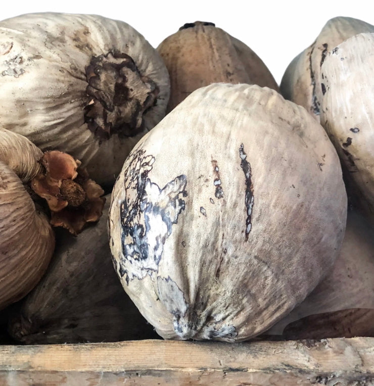DRY COCONUT - 1 PC product image 1
