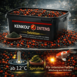 KENKOU® Selektion INTENS Farbfutter-MIX in 5 oder 10 Liter
