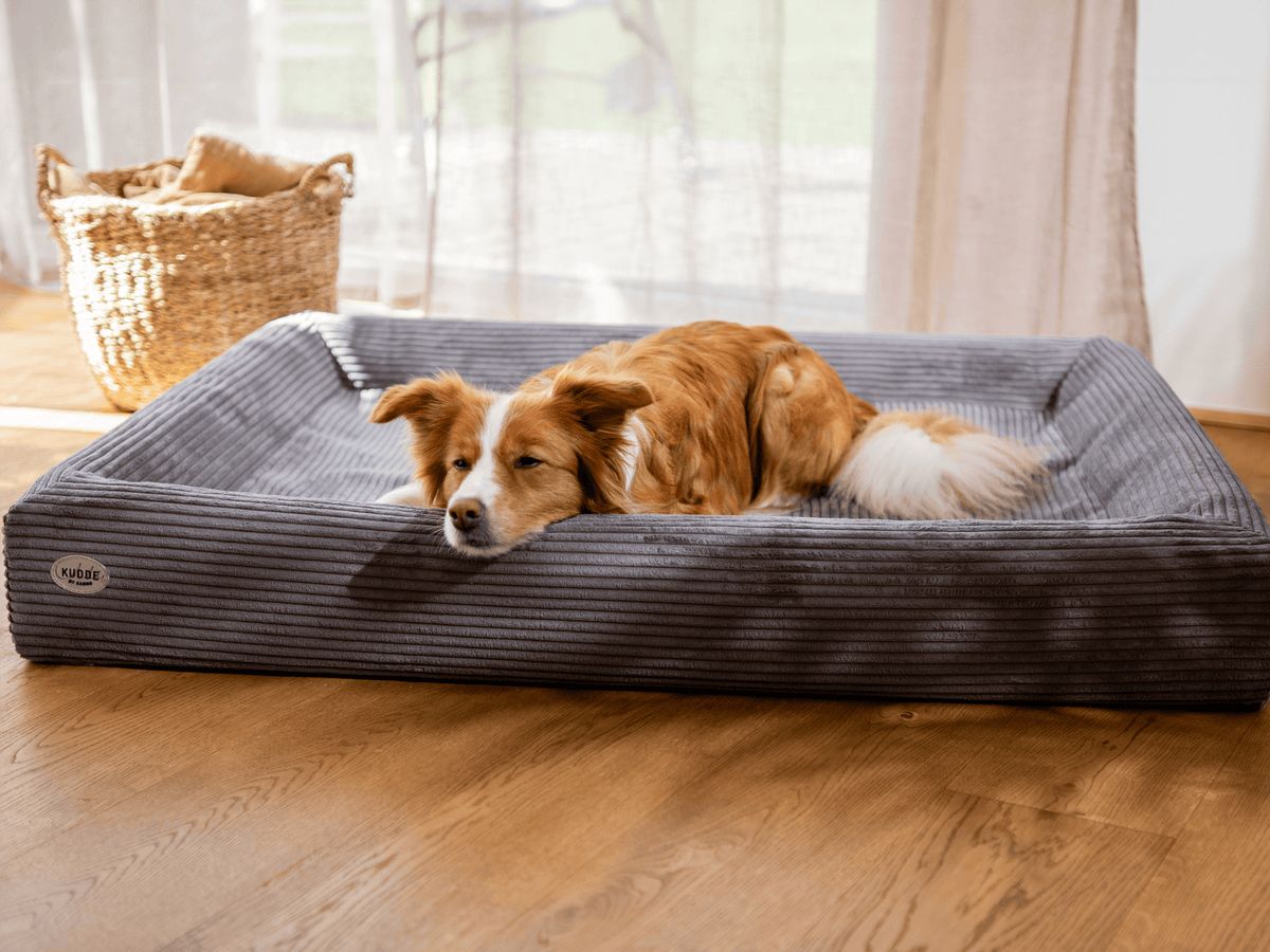 Hundebett KUDDE Cord Namma Markt