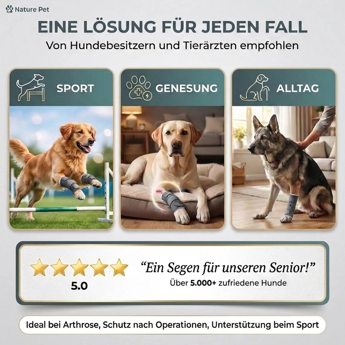 Sportbandage für Hunde
