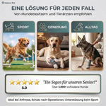 Sportbandage für Hunde