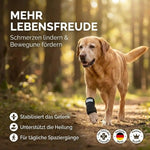 Durchtrittigkeits Bandage für Hunde mit Turbocast