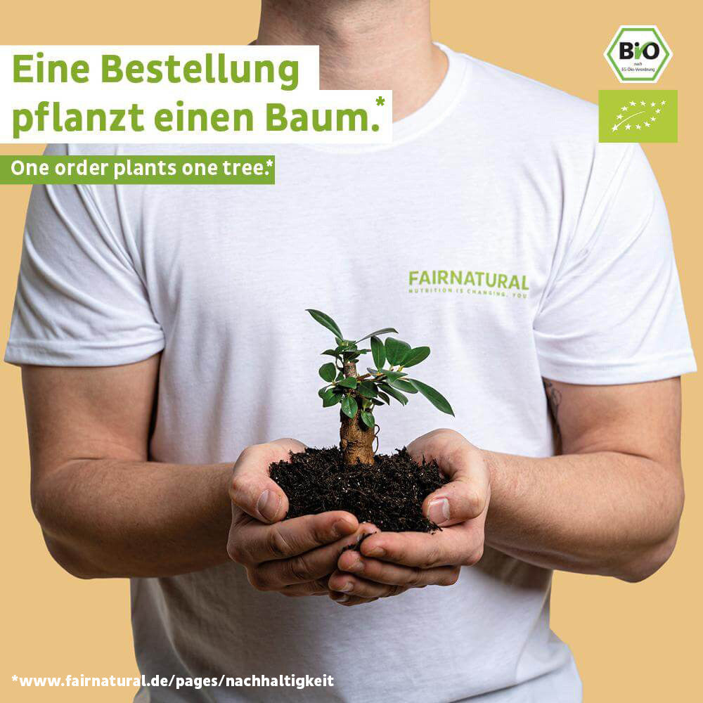 Bio Green Smoothie Pulver