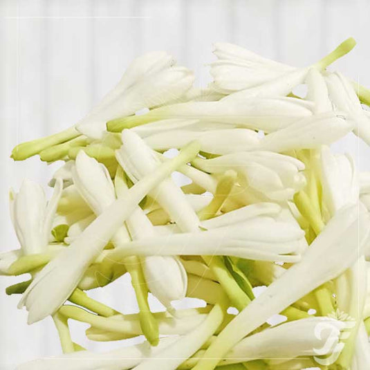 Tuberose product image 1