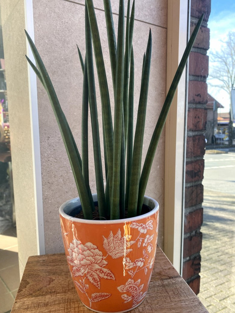 Übertopf Keramik Blumen Orange Weiß