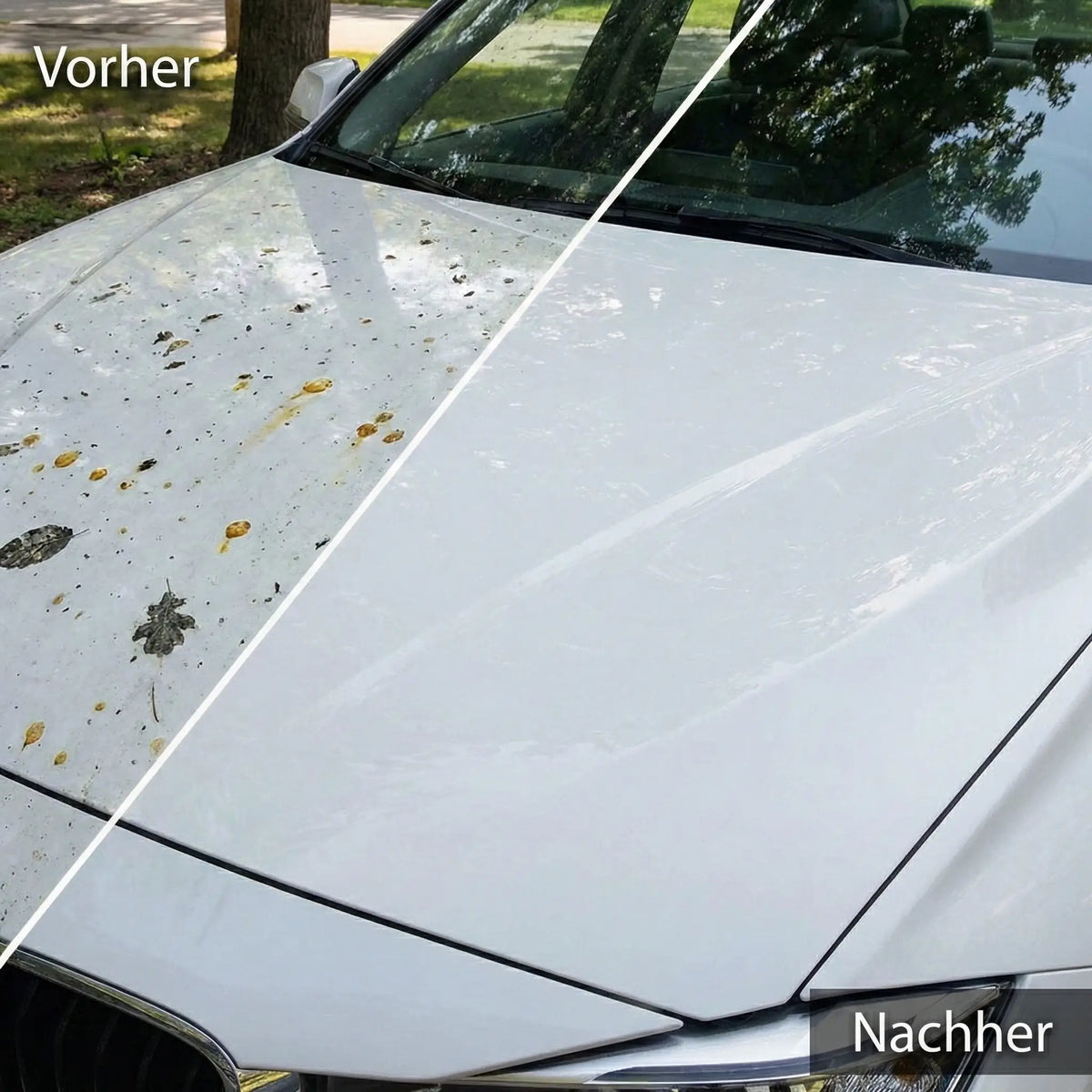 Vorreiniger