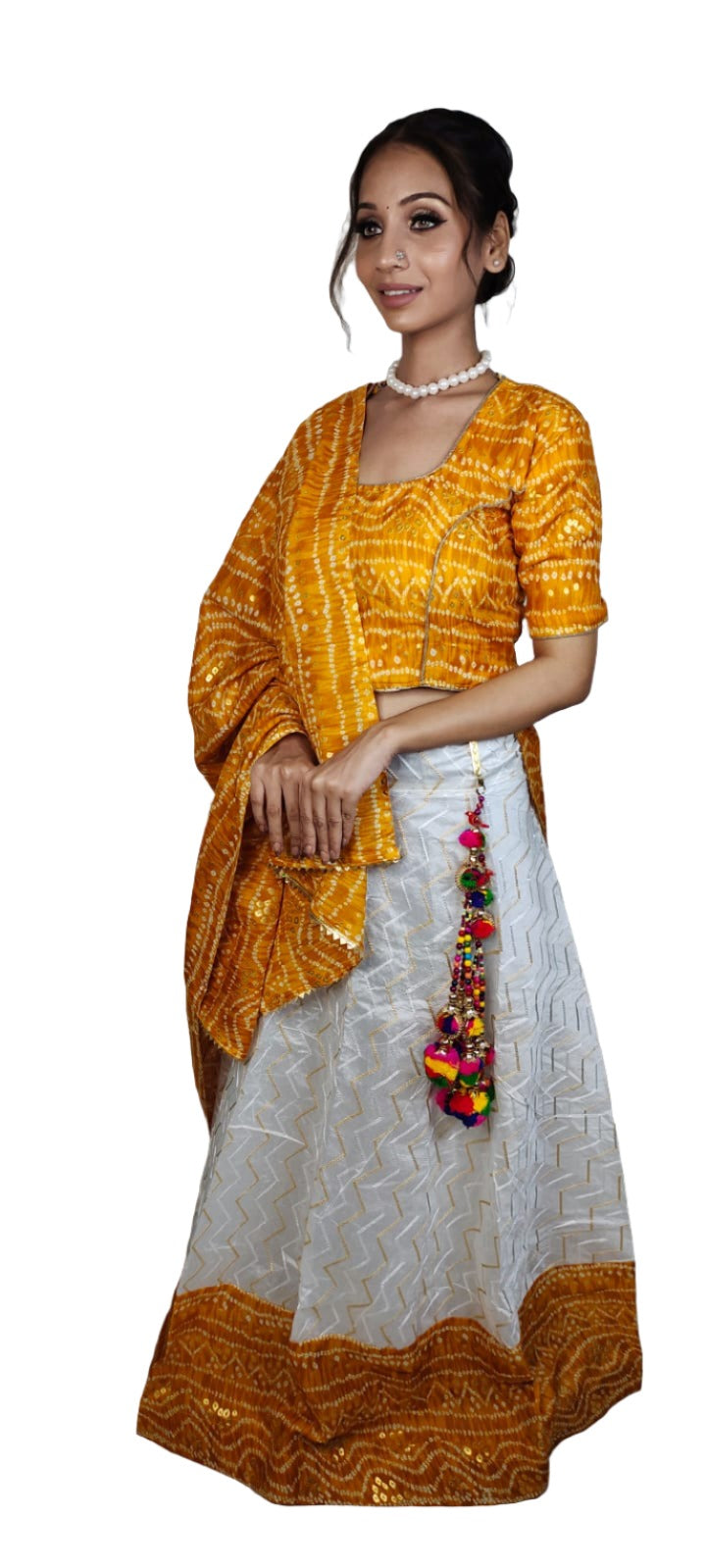 Navratri Chaniya Choli in Munich