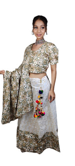 Navratri Chaniya Choli in Munich