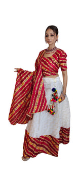 Navratri Chaniya Choli in Munich