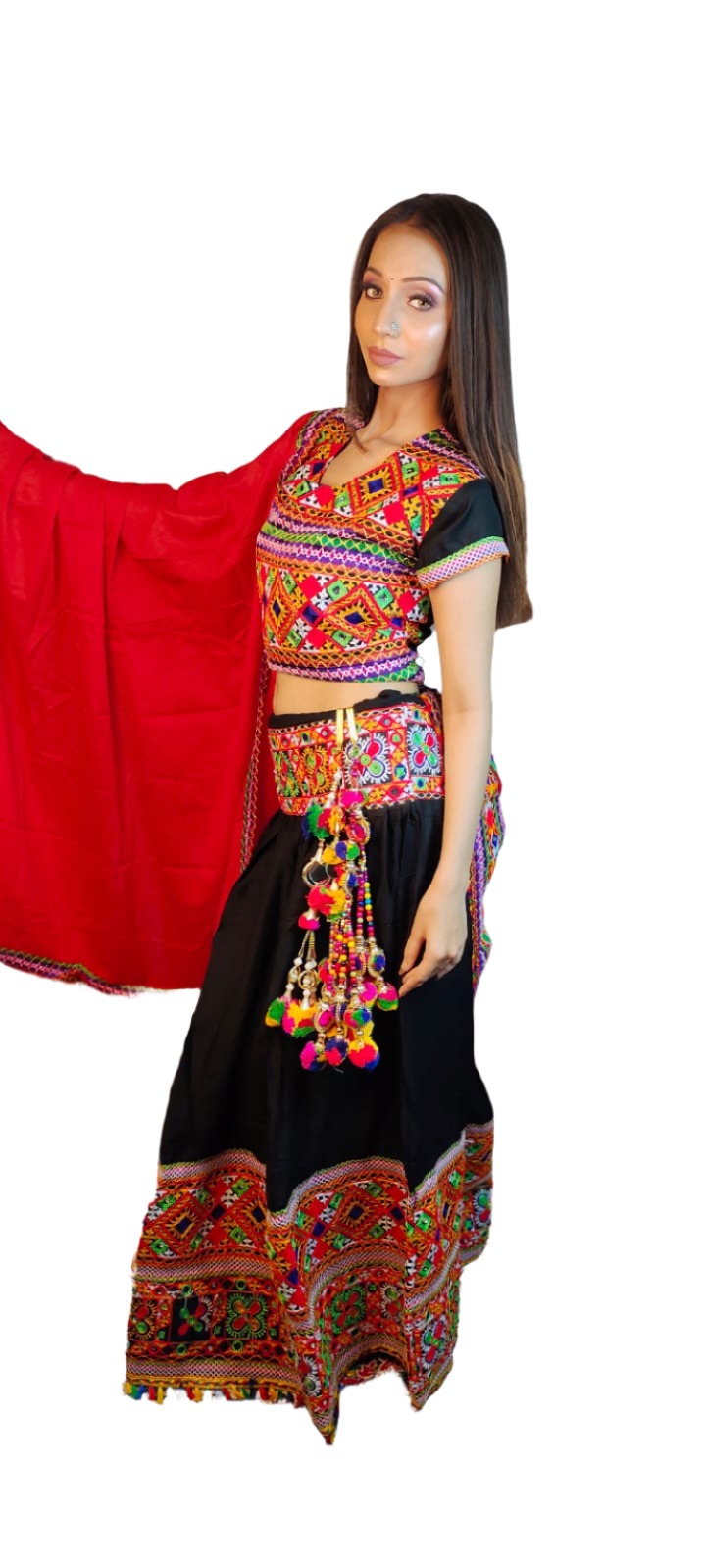 Cotton Embroidered Chaniya Choli in Berlin