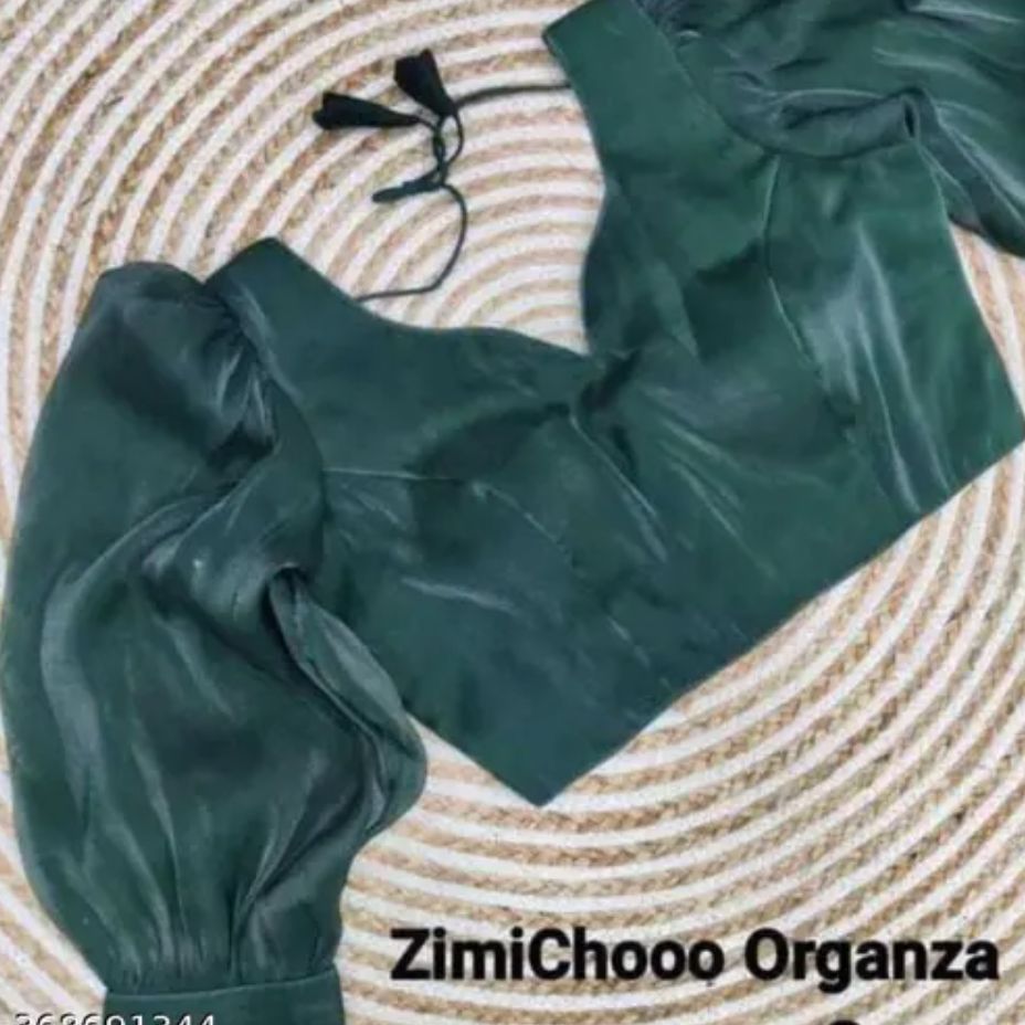 Organza Plain full Sleeves Readymade Blouse in Berlin