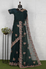 Trendy Embroidered Organza Saree in Germany
