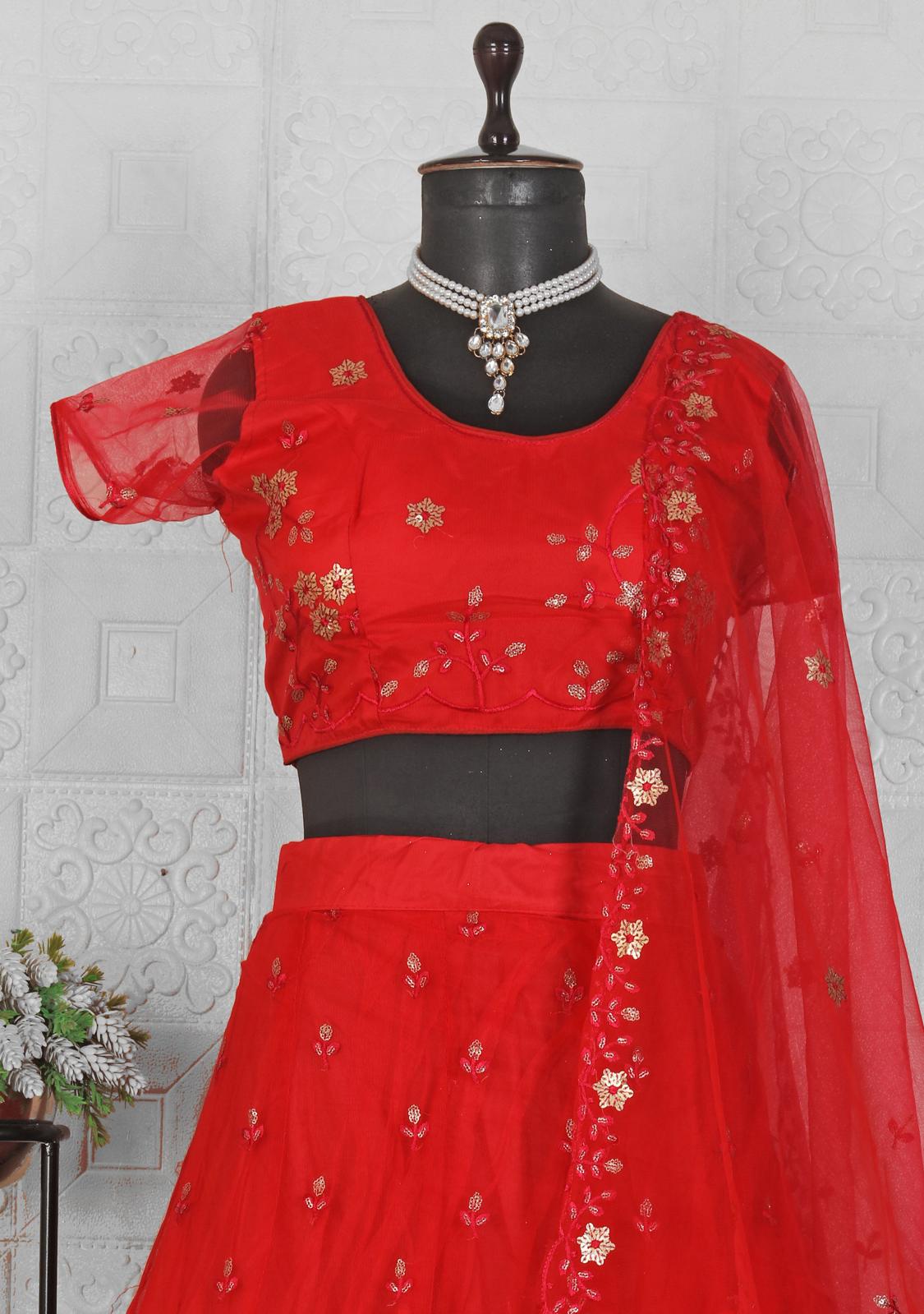 Beautiful Embroided net Lehanga in Berlin