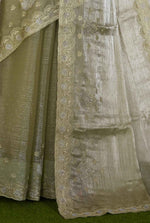 Beautiful Organza Saree in Germany