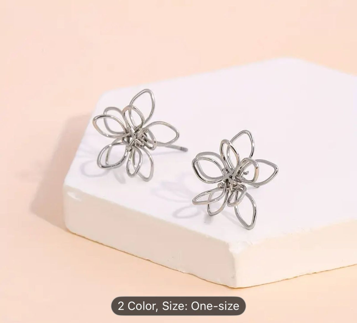 Silver-Toned Studs Earrings in Germany