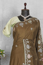 Beautiful Chinnon Saree in Munich
