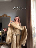 Premium Embroidery Sequence Work with real Mirror work Suit in Berlin