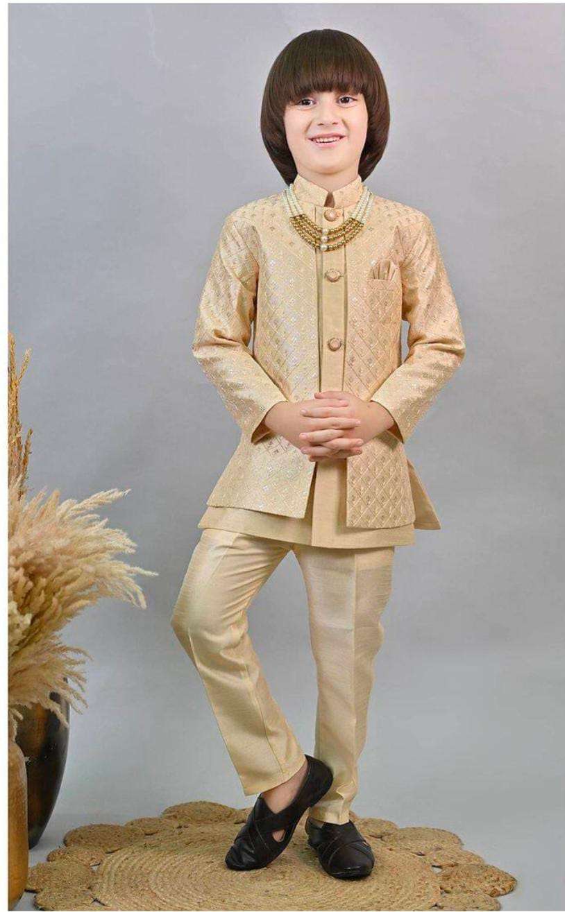 Silk Sequins Embellished Threadwork Detailed Sherwani With Pant & Necklace Set in Germany Namma Markt