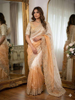 Shaded Ombre Designer Organza Saree and stitched Blouse in Germany