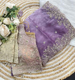 Shaded Ombre Designer Organza Saree and stitched Blouse in Germany