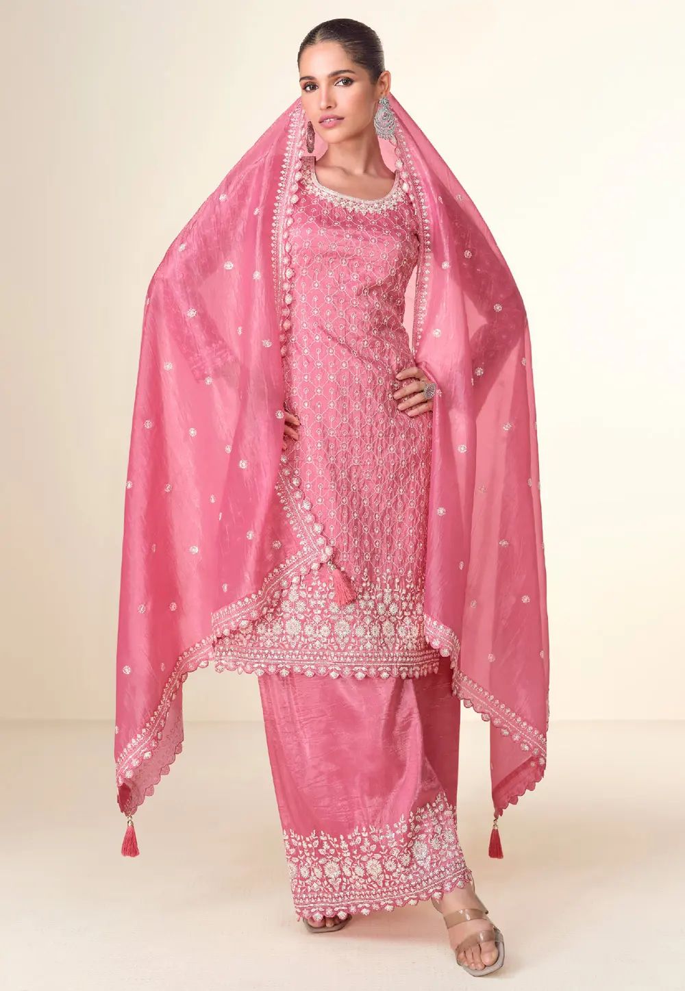 Pink Tissue Pakistani Suit in Berlin