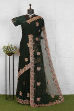 Trendy Embroidered Organza Saree in Germany