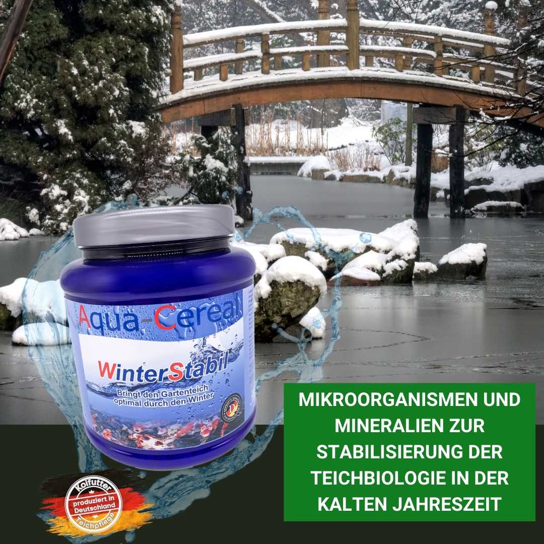 WinterStabil - richtige Vorbereitung auf den Winter