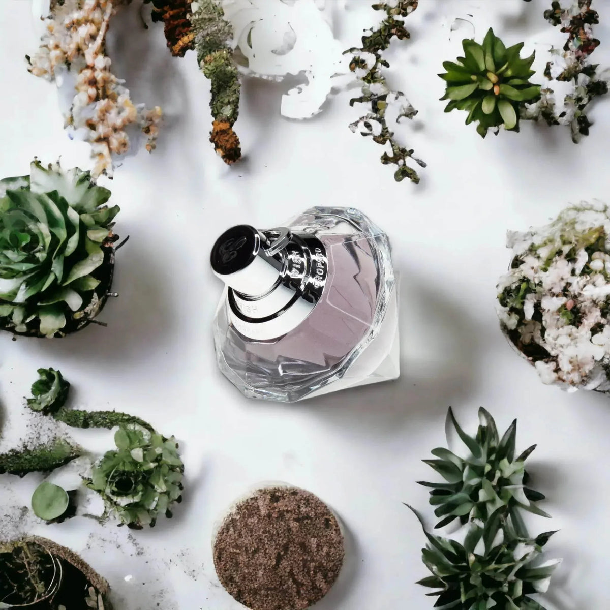 Chopard Wish Eau de Parfum