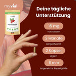 Eisen Natur Komplex