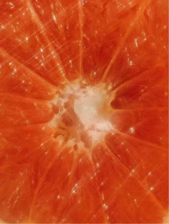 Hand & Body Wash – Grapefruit | Sanfte Reinigung |