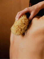 Hand & Body Wash – Grapefruit | Sanfte Reinigung |