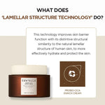 SKIN1004 Madagascar Centella Probio-Cica Enrich Cream 15ml