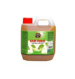 Adisha Mango Cordial (Kairi Panha) 500ml - Namma Markt