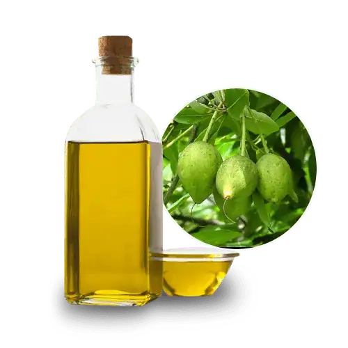 Agam Mohua / Iluppai Oil 200ml - Namma Markt
