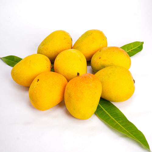 Alphonso Mango ( approx 1.5Kg) - Namma Markt