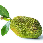 Baby/ Raw jackfruit 1-1.1kg - Namma Markt