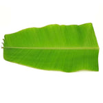 Banana leaves 4pc (only Hamburg ) - Namma Markt