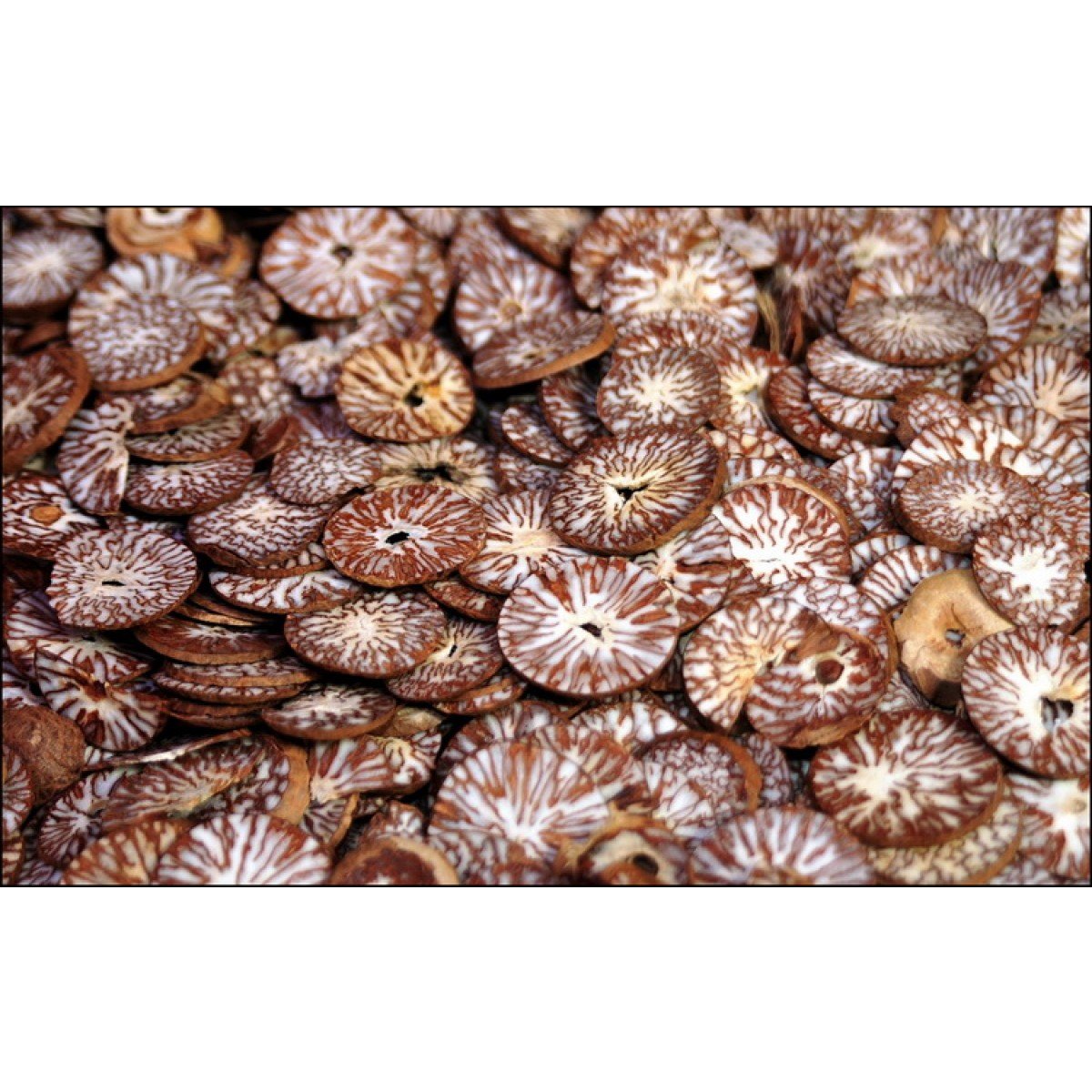Betel nut - sliced product image 1