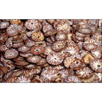 Betel nut - sliced product image 1