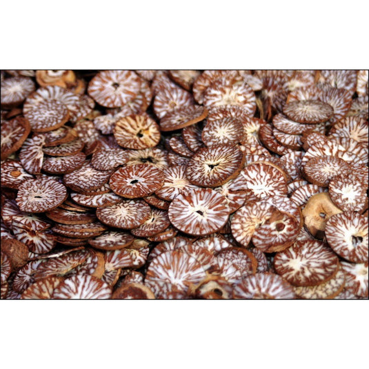 Betel nut - sliced product image 1