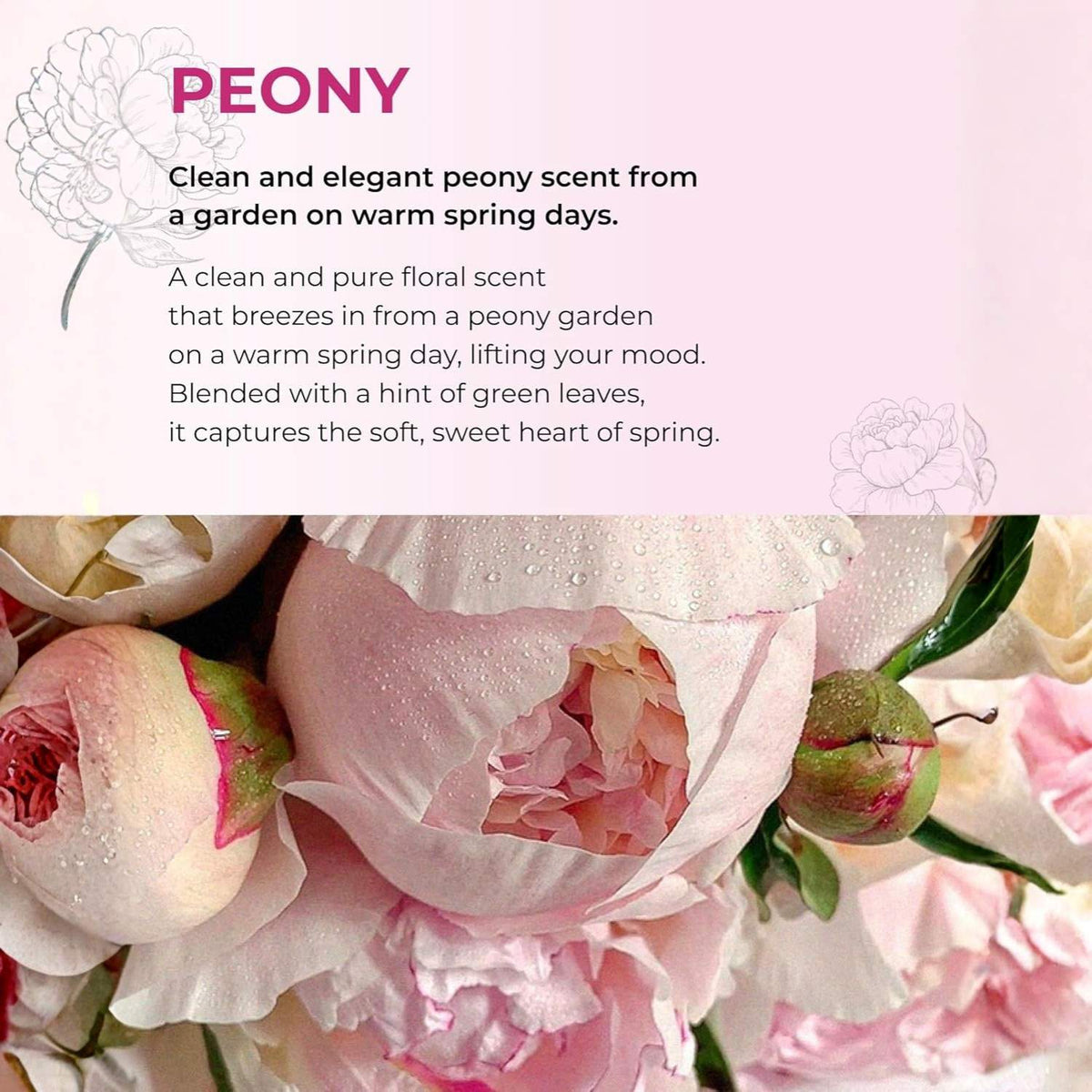 BOM Peony Garden Perfume Body Mist 110 ml
