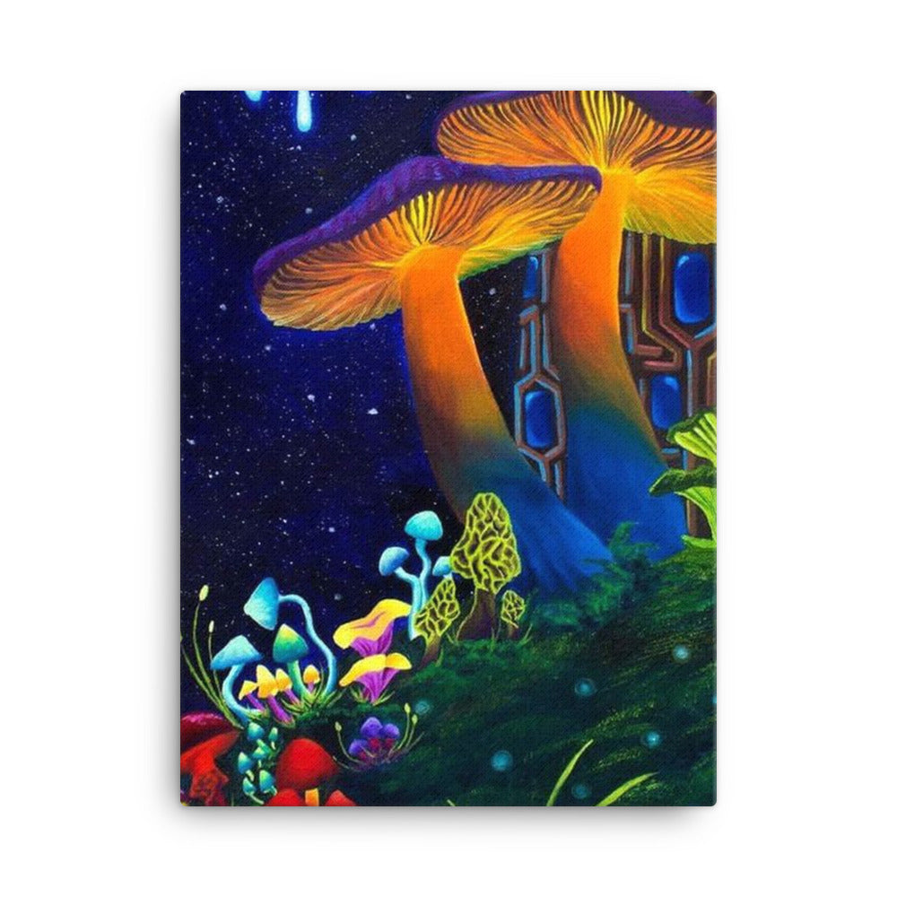 Dark Shroom Land Hoodie