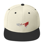 Dealers Snapbackcap Cap