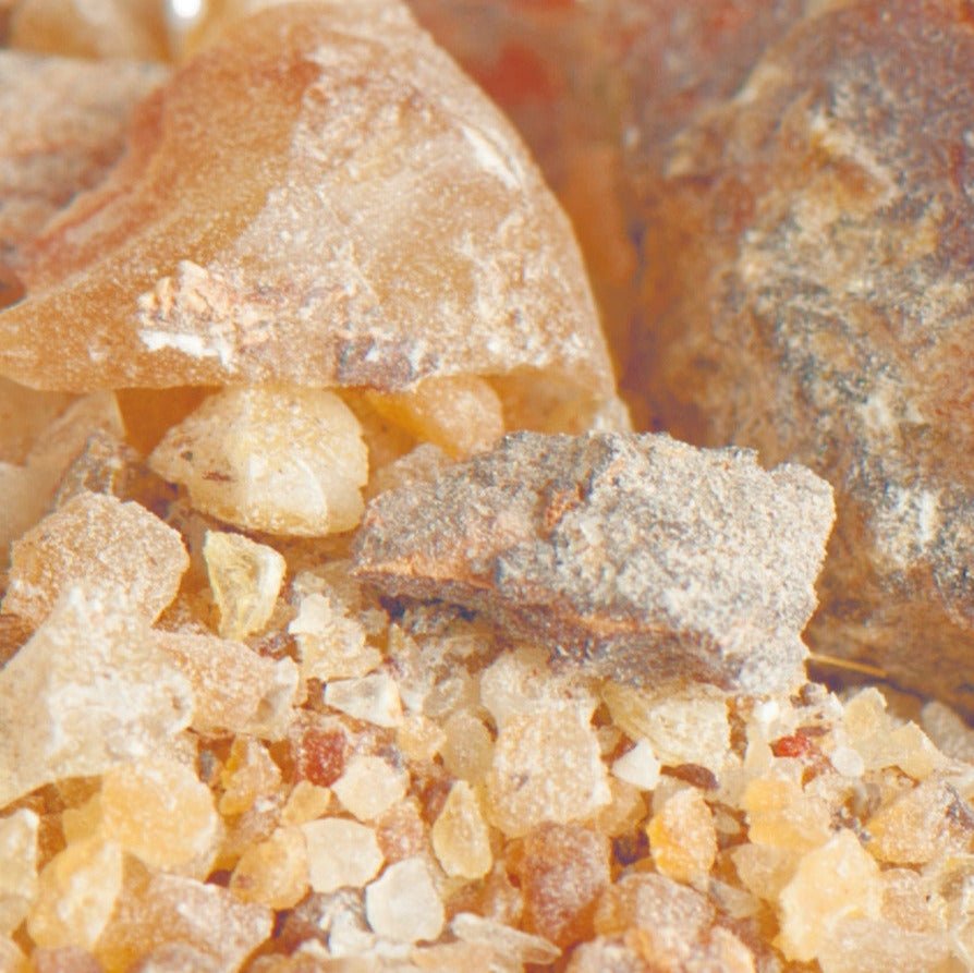 Copal Blanco Protium crassipetalum
