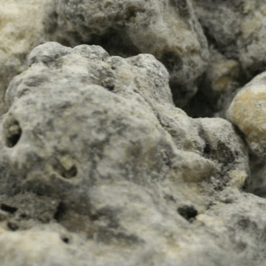Copal Negro