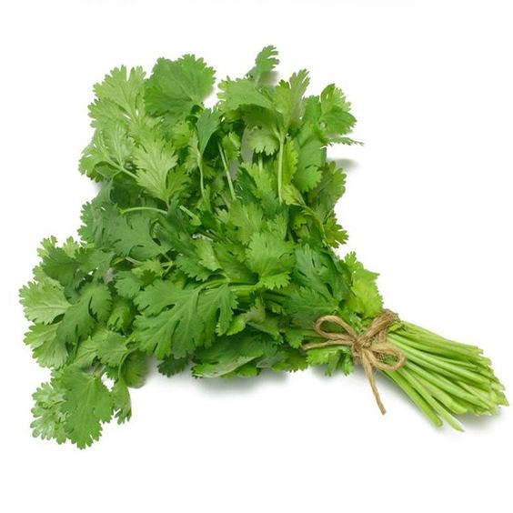 Fresh Coriander leaves - 1 bunch (Hamburg only)
