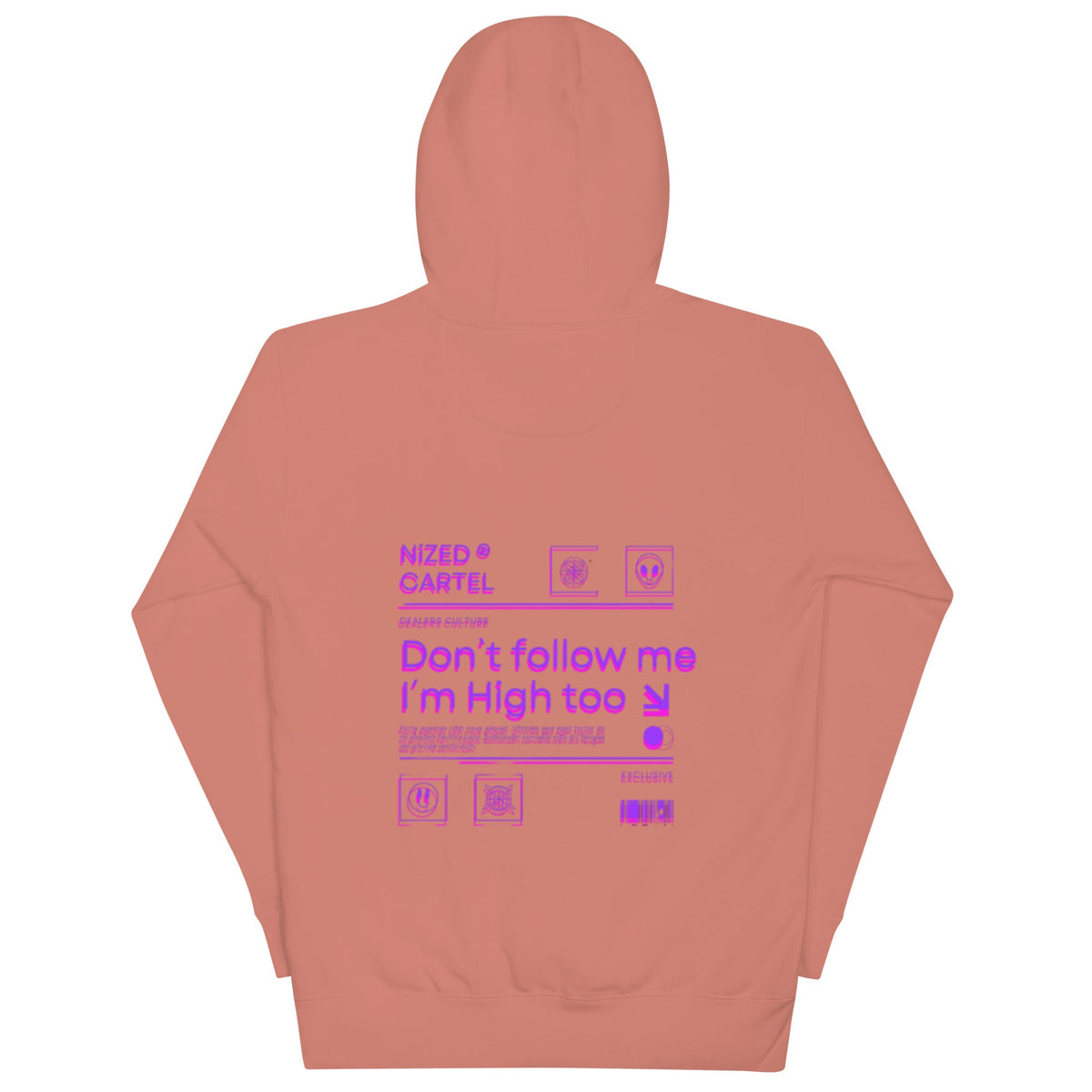 Dont Follow Me I`m High Too Hoodie
