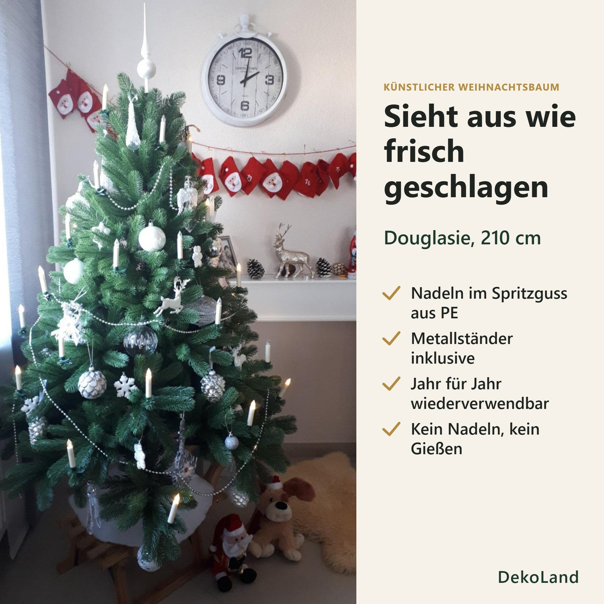 DekoLand Douglasie 210 cm – PE-Spritzguss Weihnachtsbaum